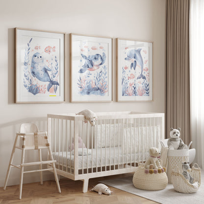 Seal Dolphin and Turtle Nursery Wall Art Set of 3